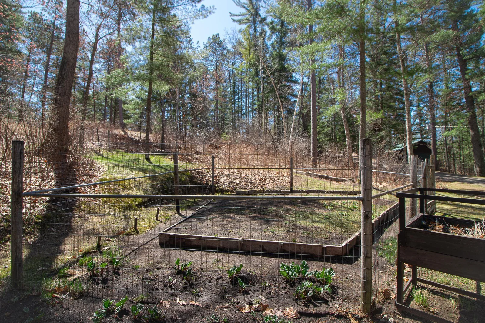 Garden w/added fence to keep out those hungry critters!