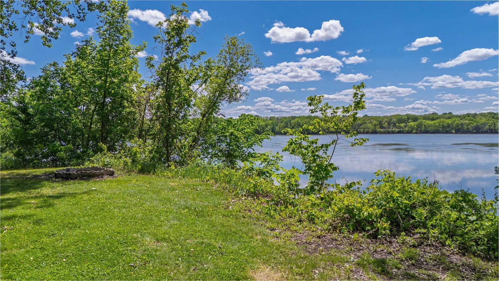 Wildlife paradise: ducks, pelicans, geese, swans, eagles, and songbirds abound