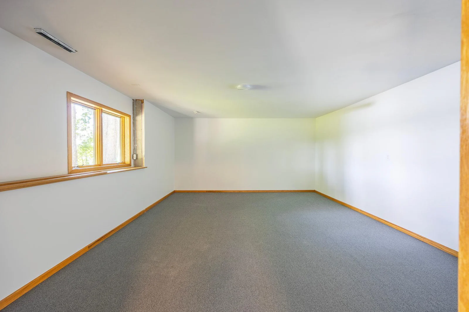 Expansive 3rd bedroom in lower level