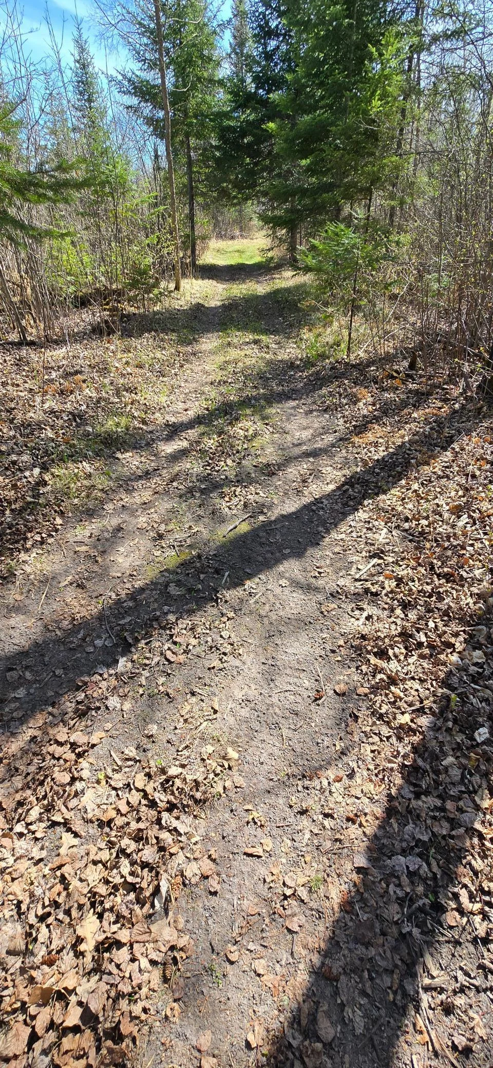 20250509_153612.jpg