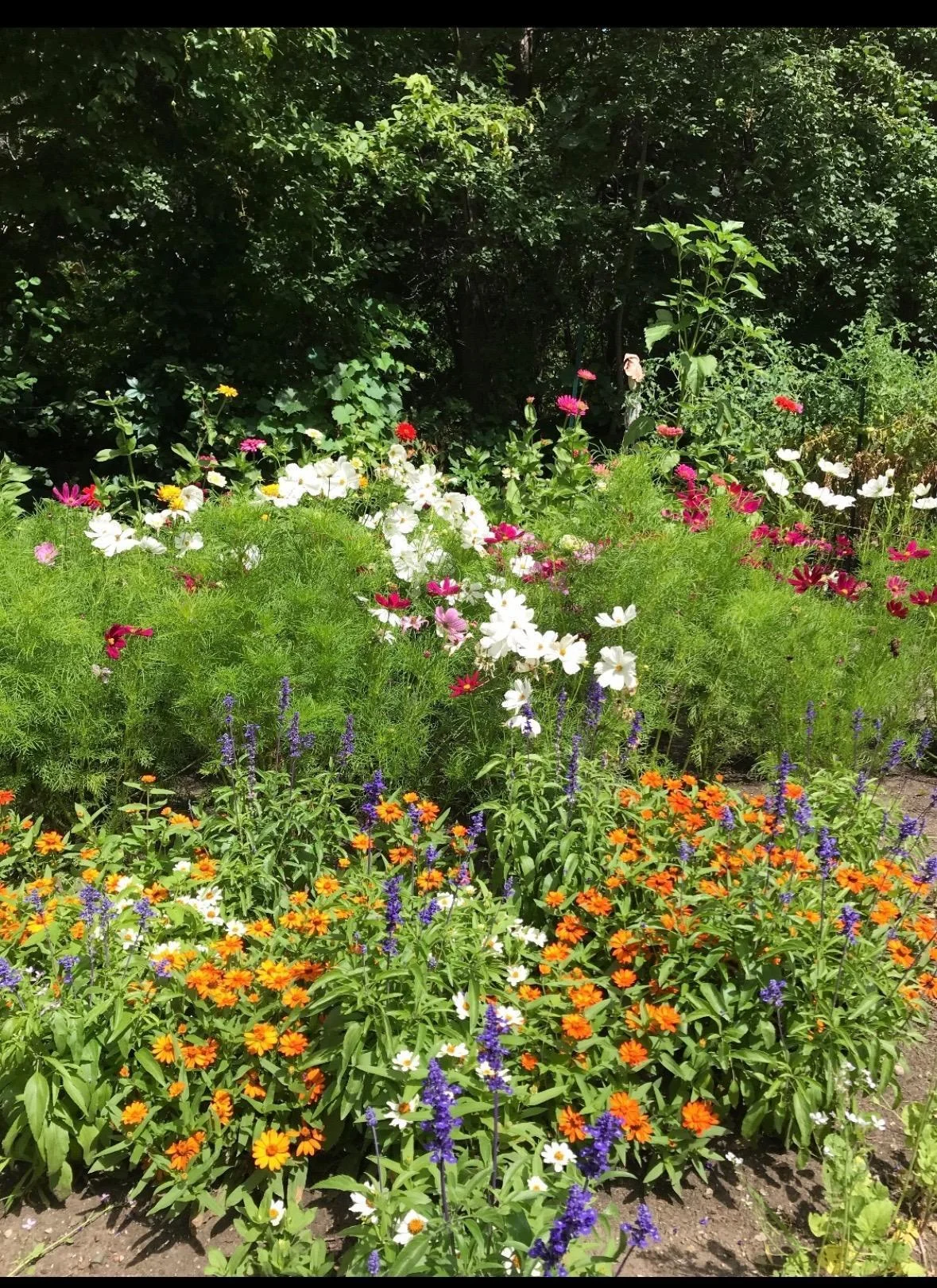 14916 Upper Sandy Rd, Ashby, MN  56309 Beauty blooms here!