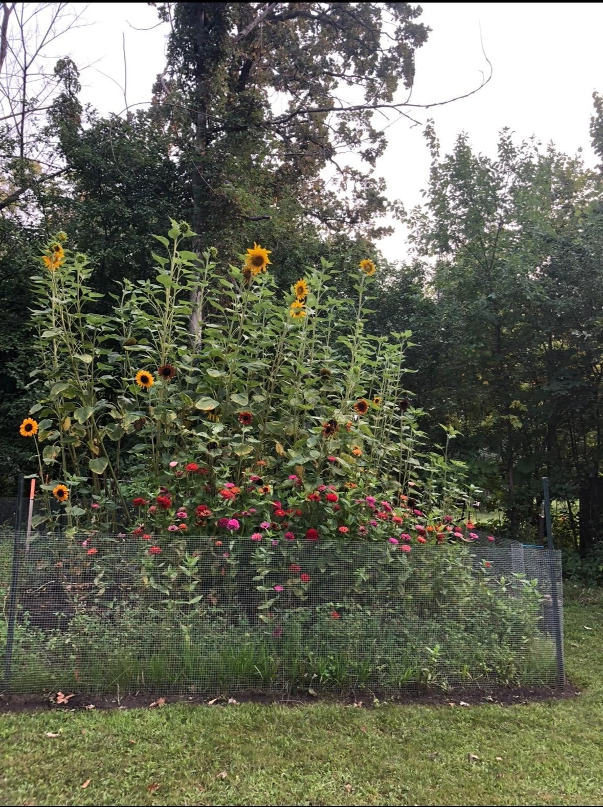 14916 Upper Sandy Rd, Ashby, MN  56309 Ready for your green thumb