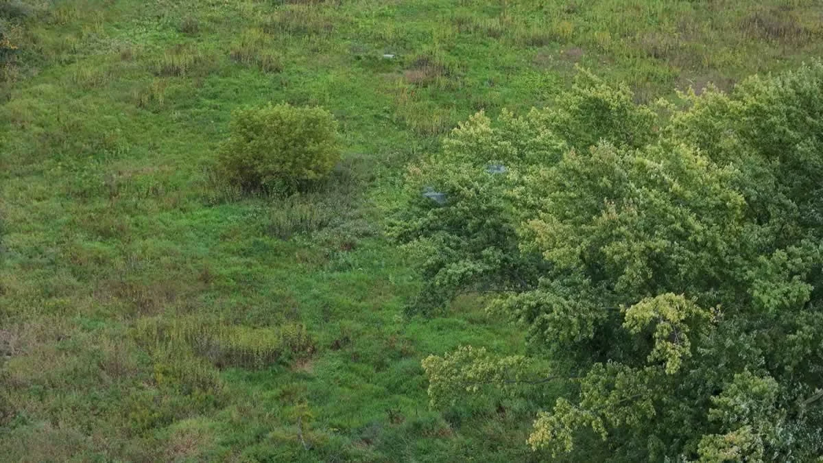 Drone7.jpg
