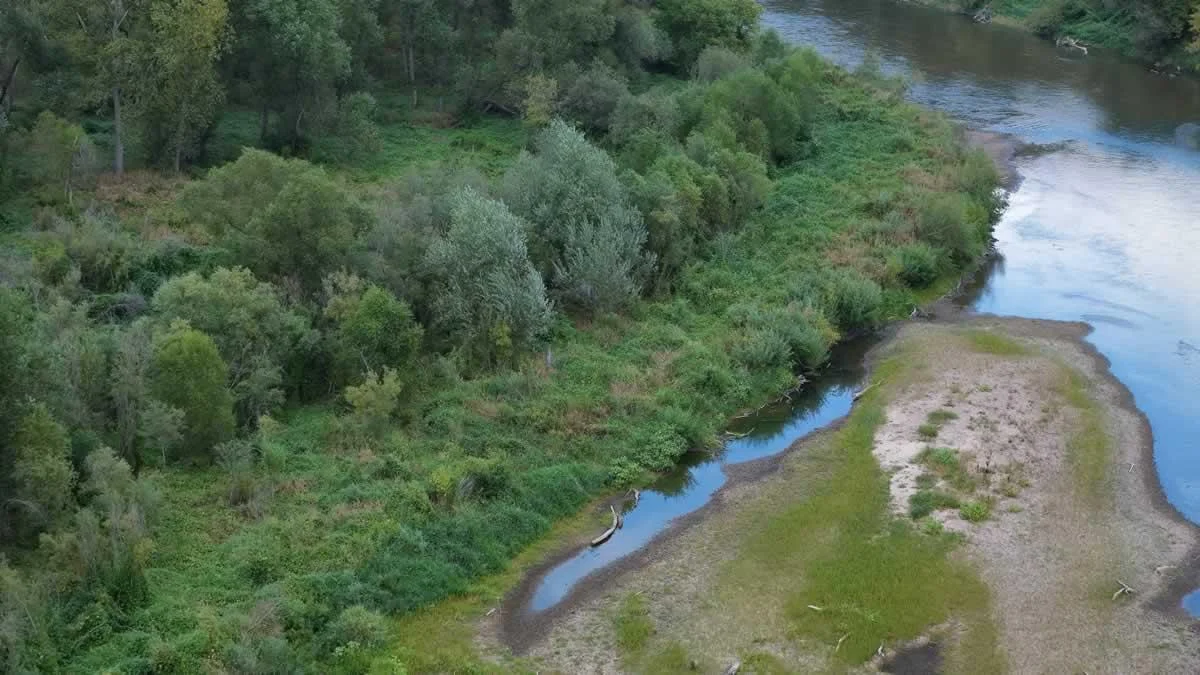 Drone8.jpg