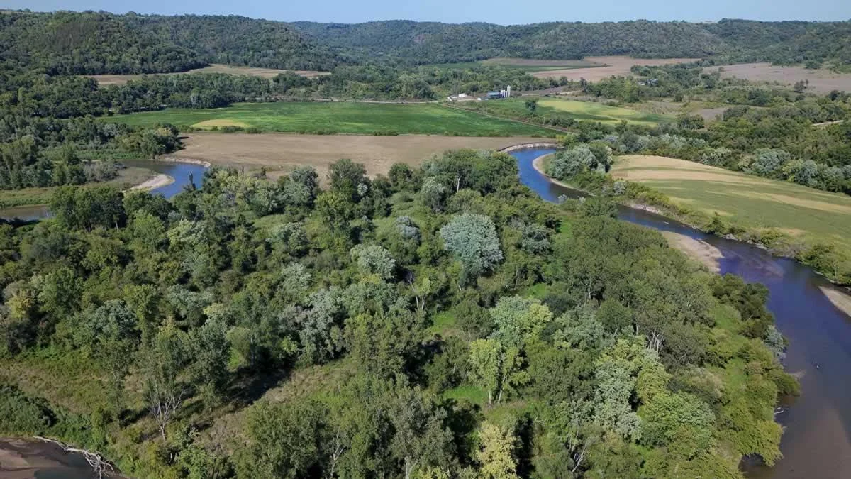 Drone12.jpg