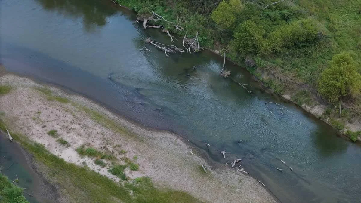 Drone10.jpg