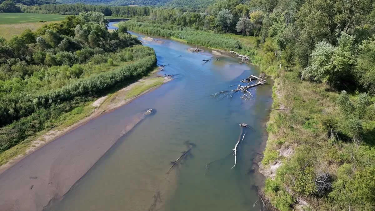 Drone19.jpg