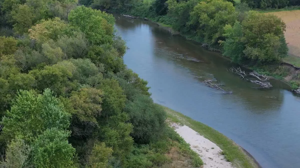 Drone6.jpg