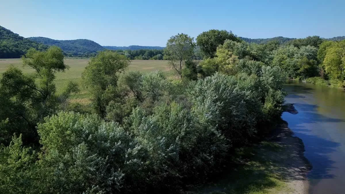 Drone16.jpg