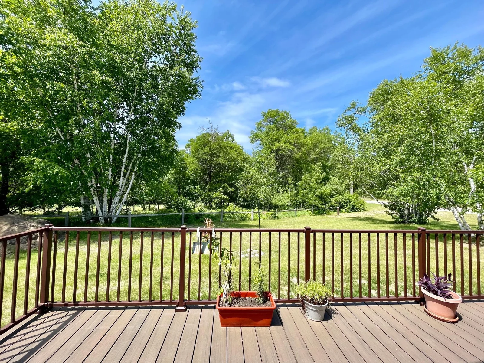 Back yard view
