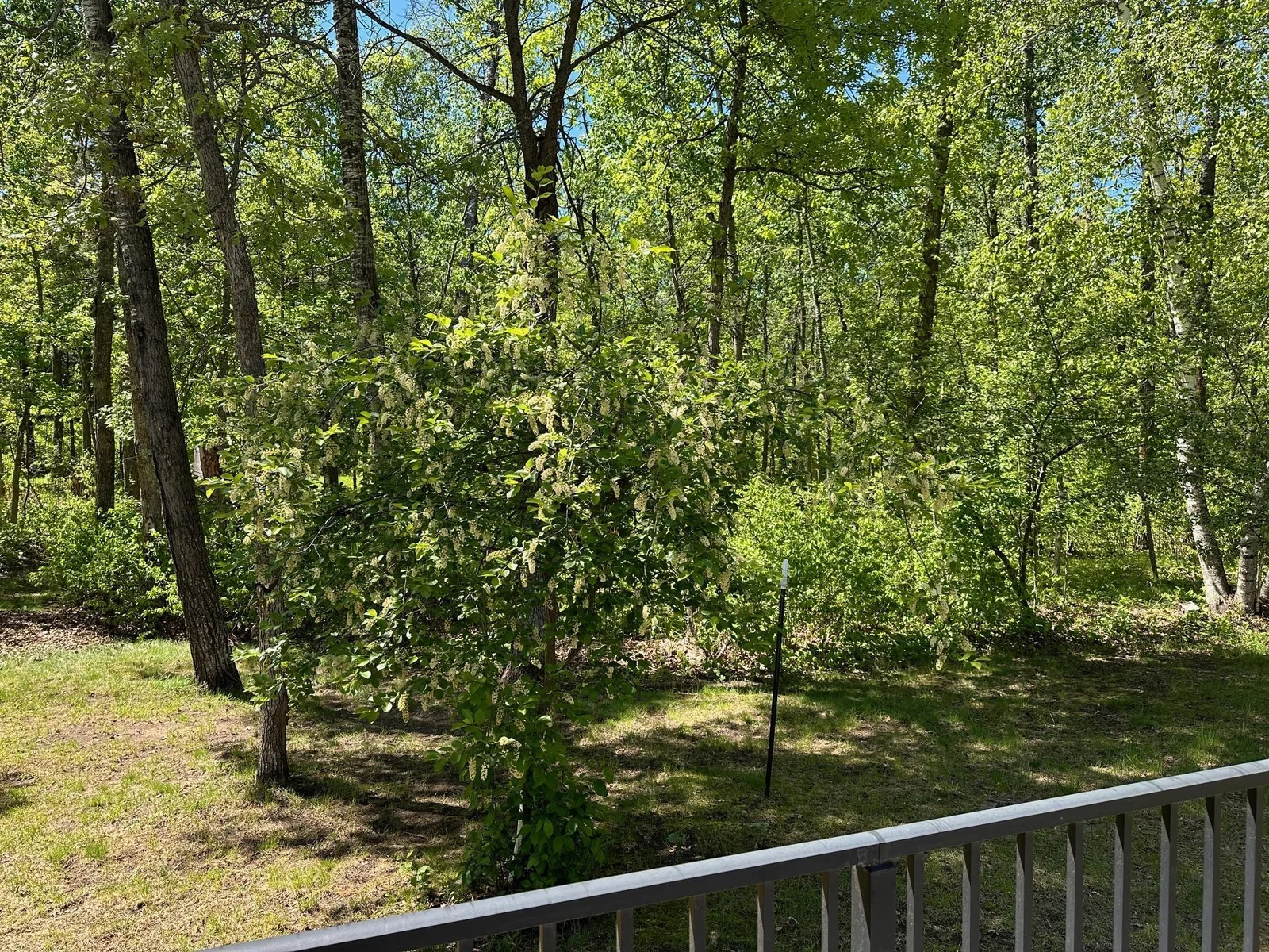 Deck View