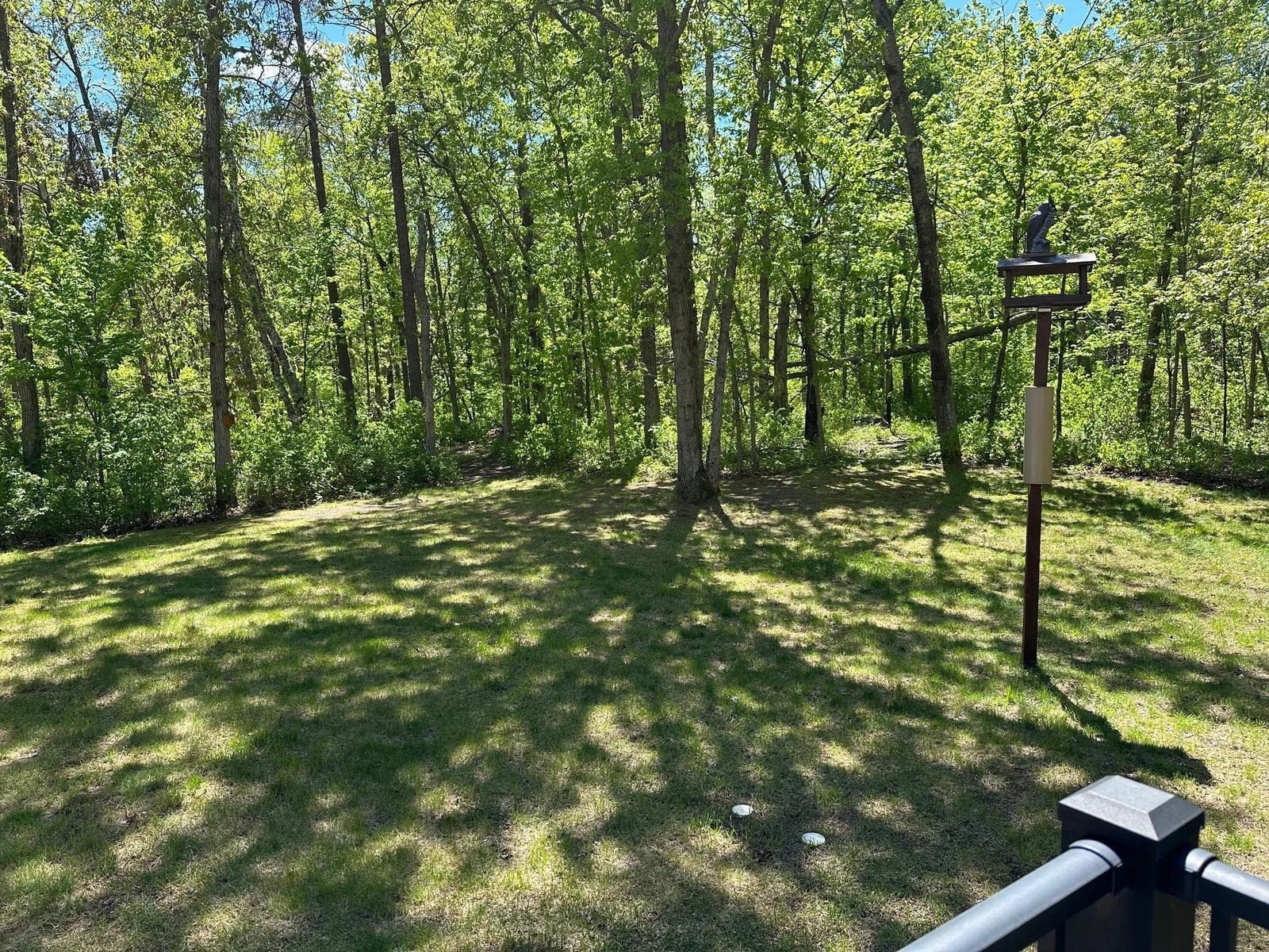 Yard - 1+ Acre