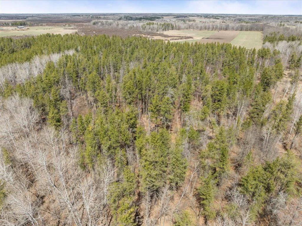 24-DJI_20250425124017_0389_D.jpg
