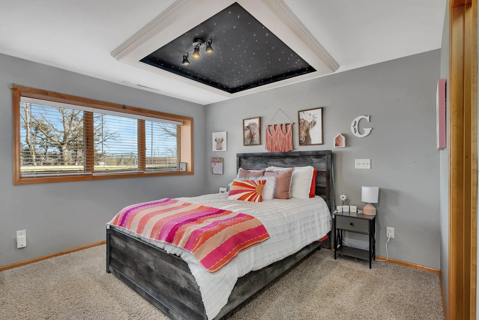 Lower level bedroom with walk-in closet.