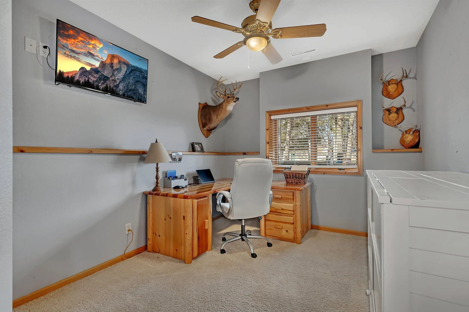 Lower level bedroom being used as an office.