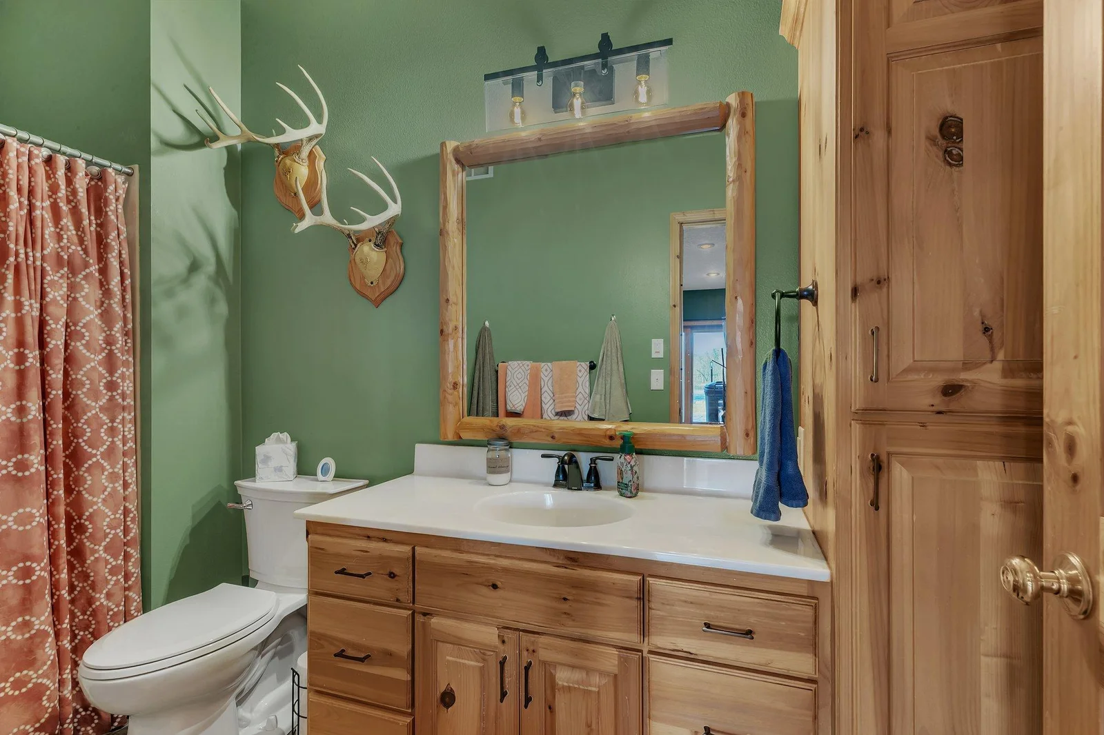 Full lower level bathroom.