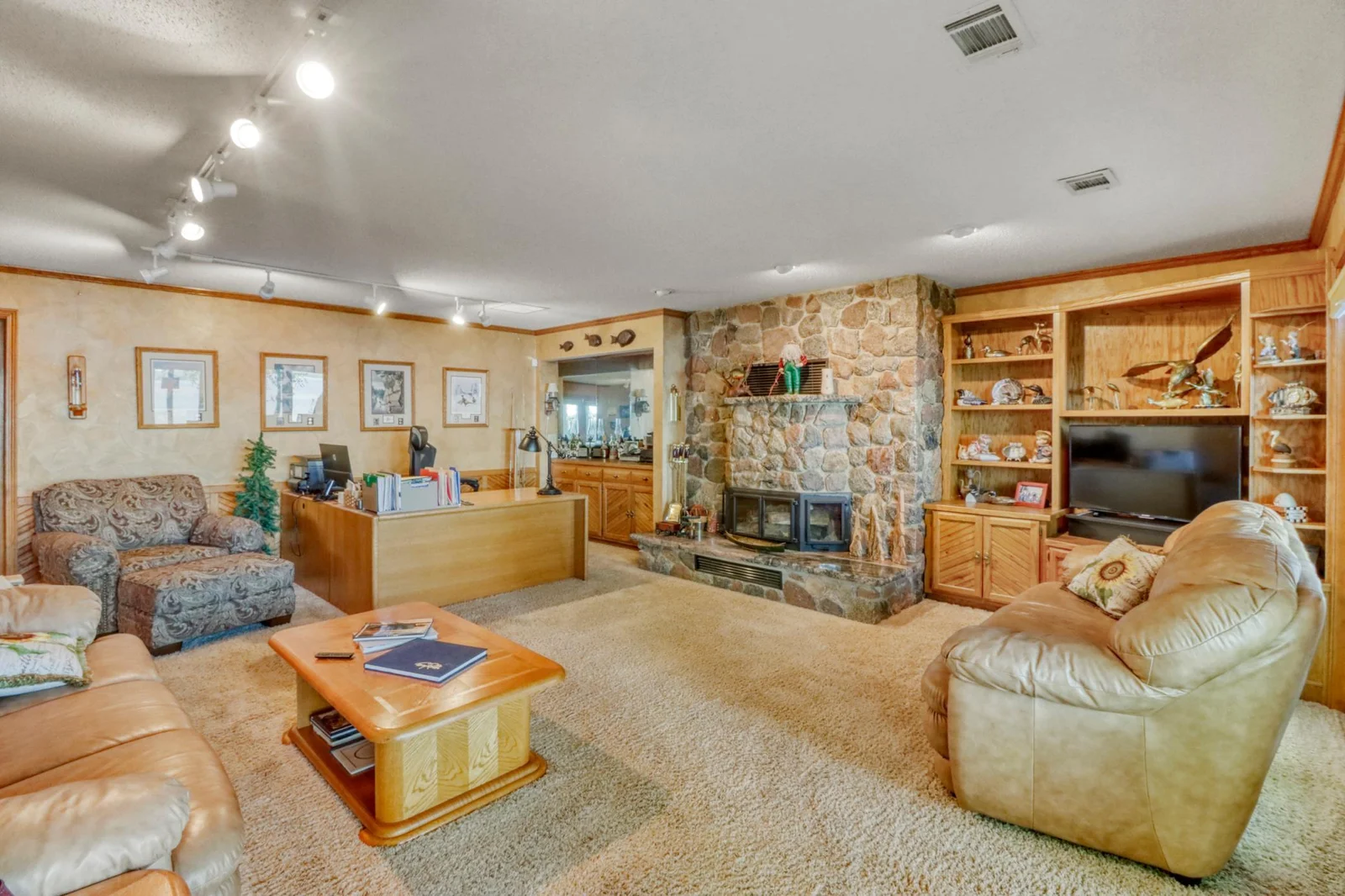 Lower Level Family Room