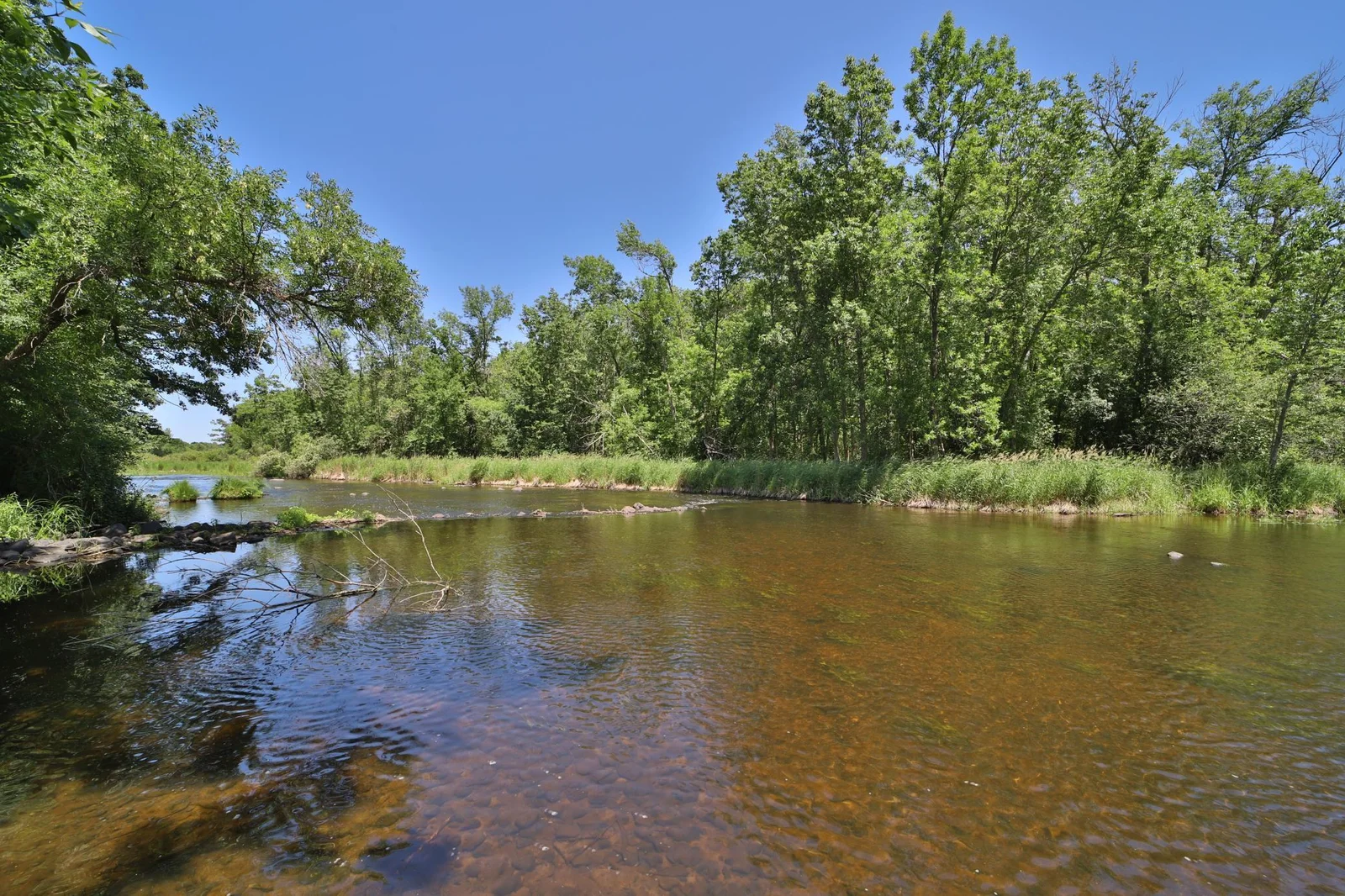 1,000 plus feet on the Ripple River