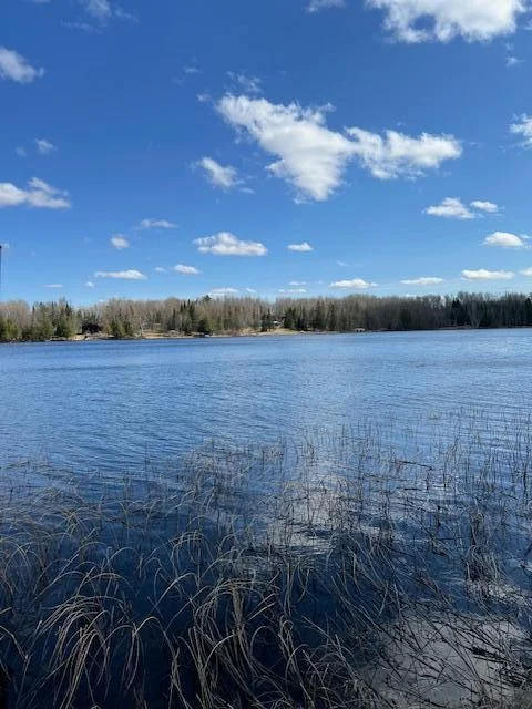 Hard Bottom with some reeds