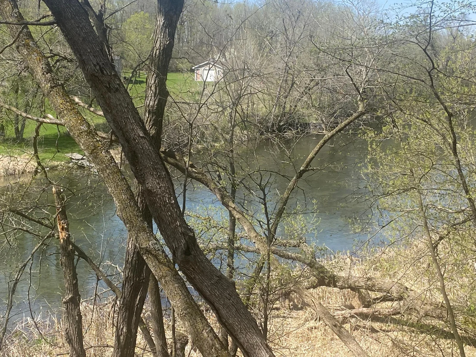 View up river