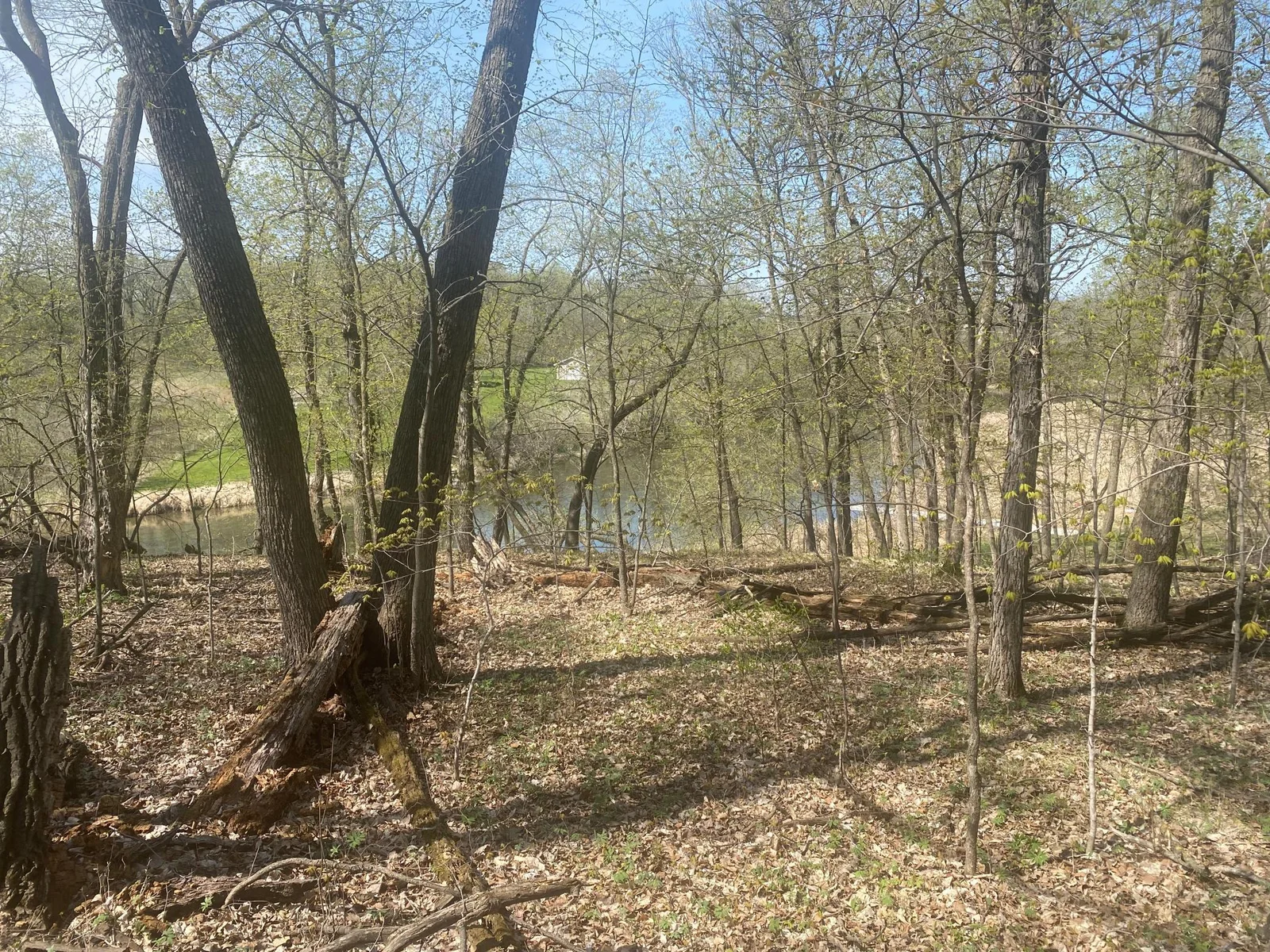 Wooded area near water