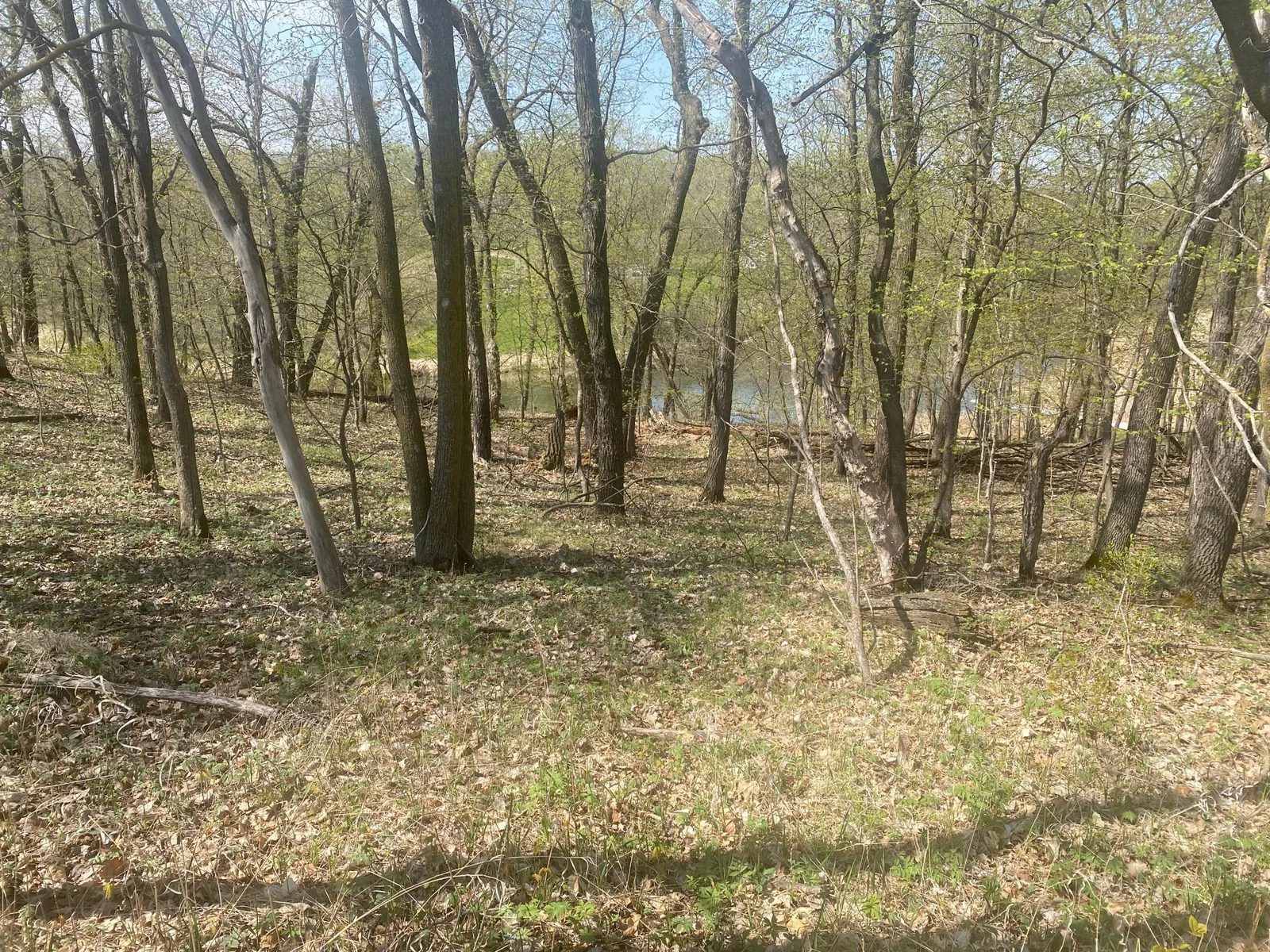 Wooded area near water