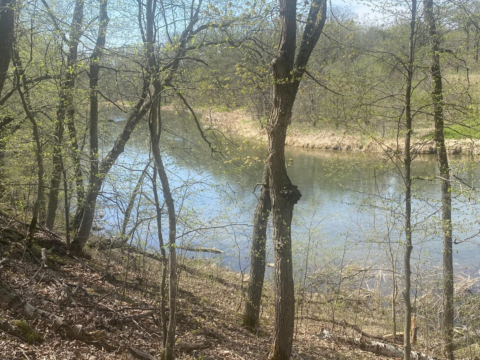 Hill to lake