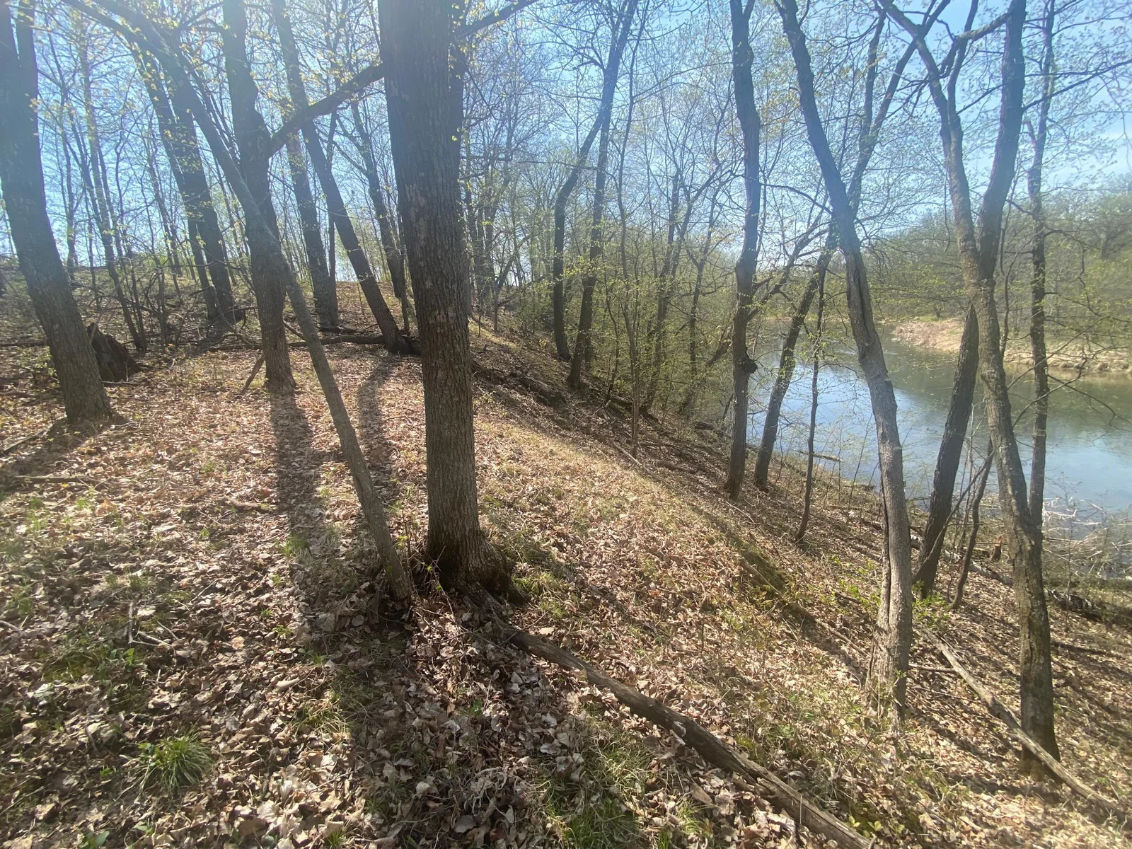 View down river