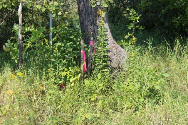 thumbnail_IMG_4721.jpg