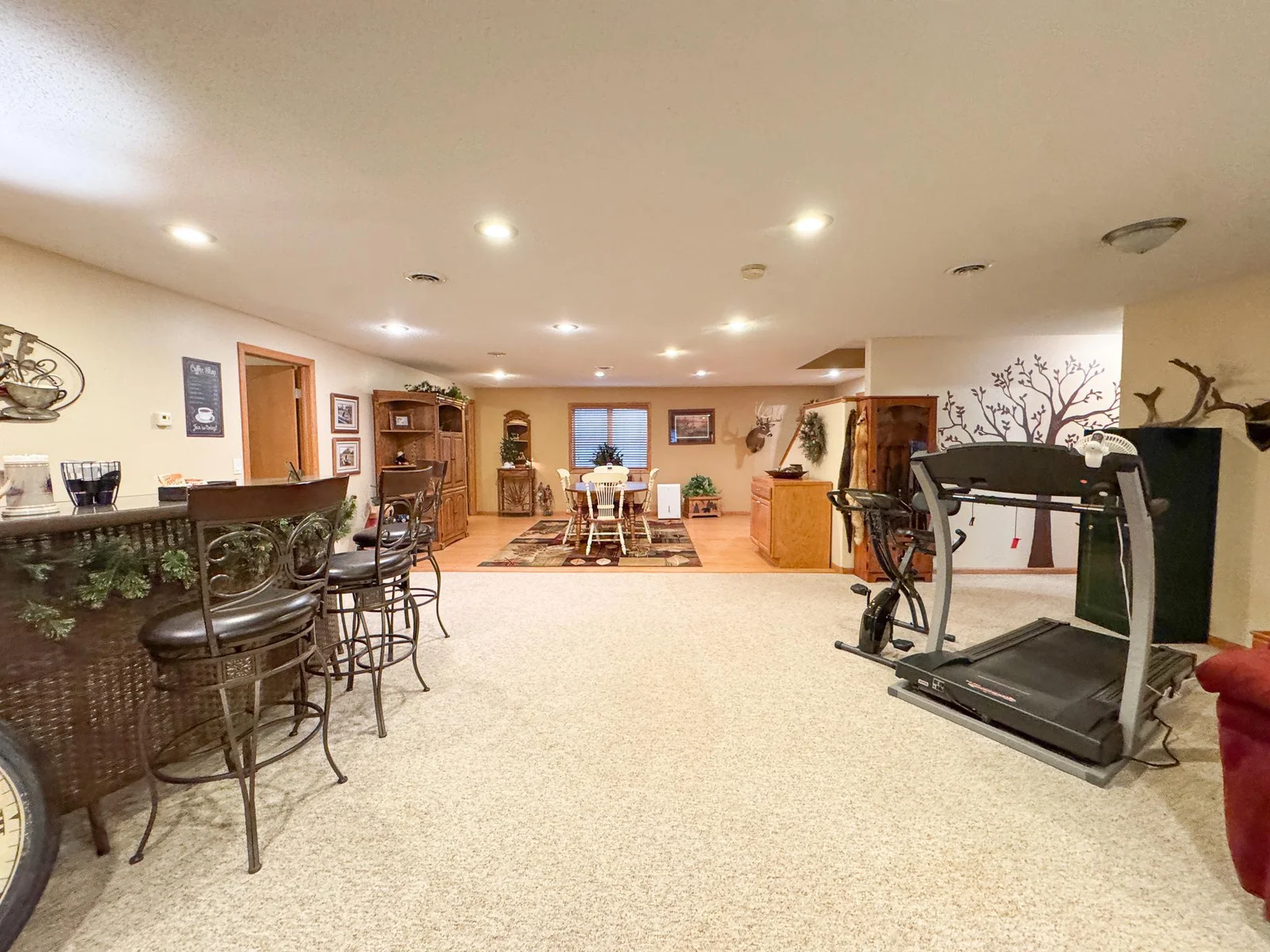Lower Level Family Room 1.jpg
