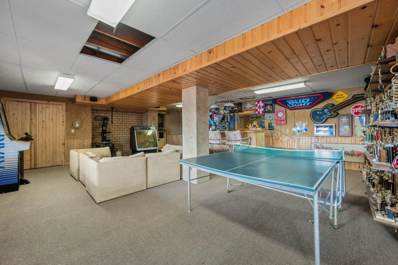Lower level game/family room