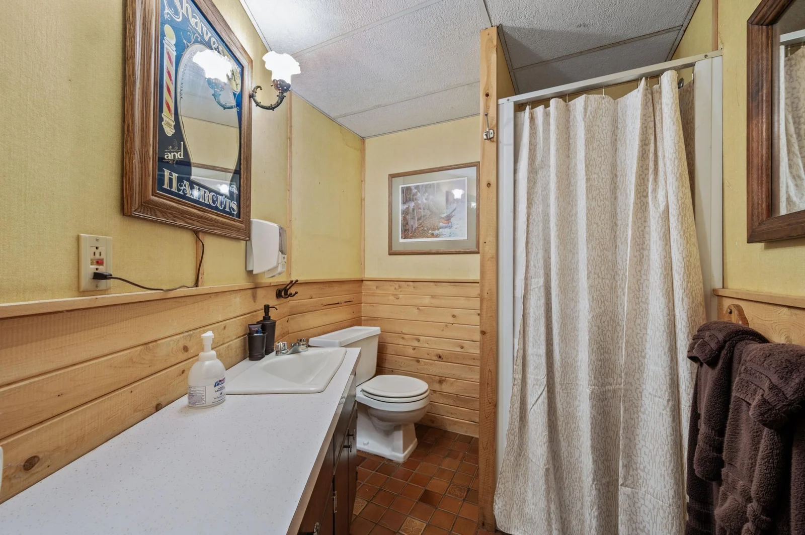 Lower level bathroom