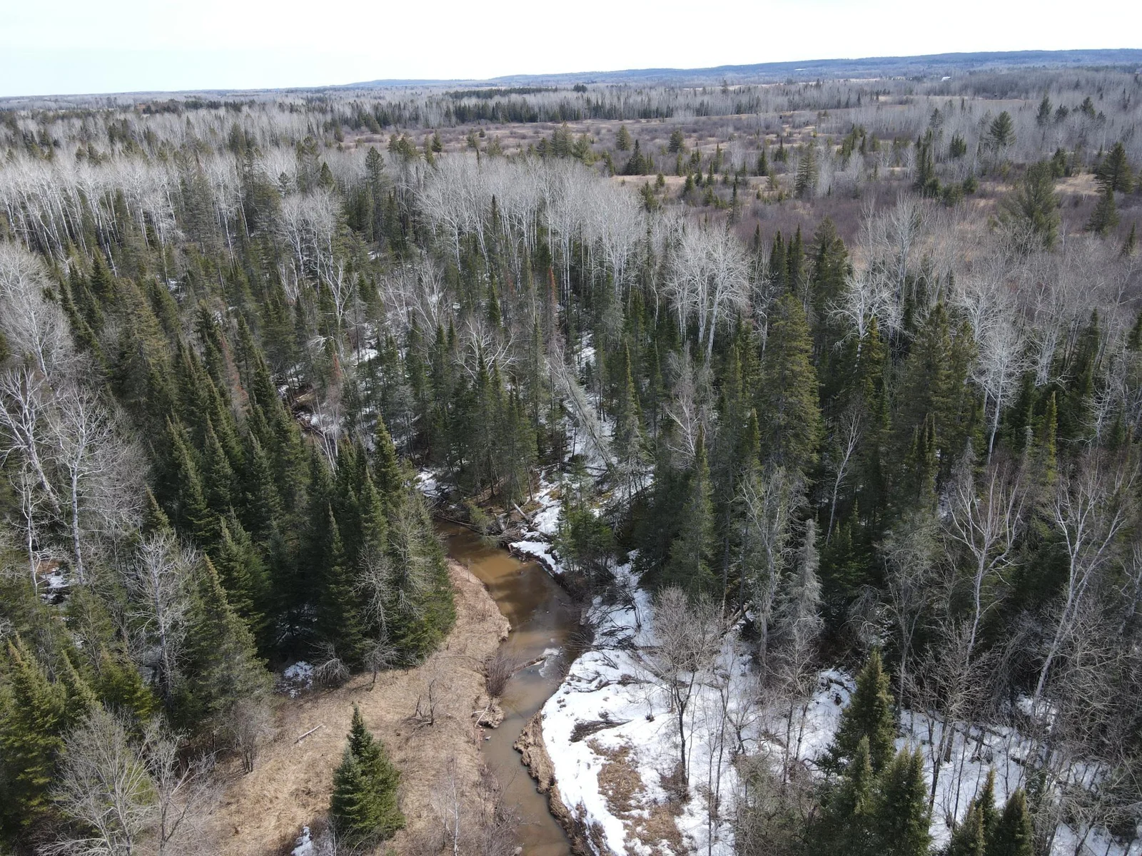 Bardon Creek flows across the NW corner of the property