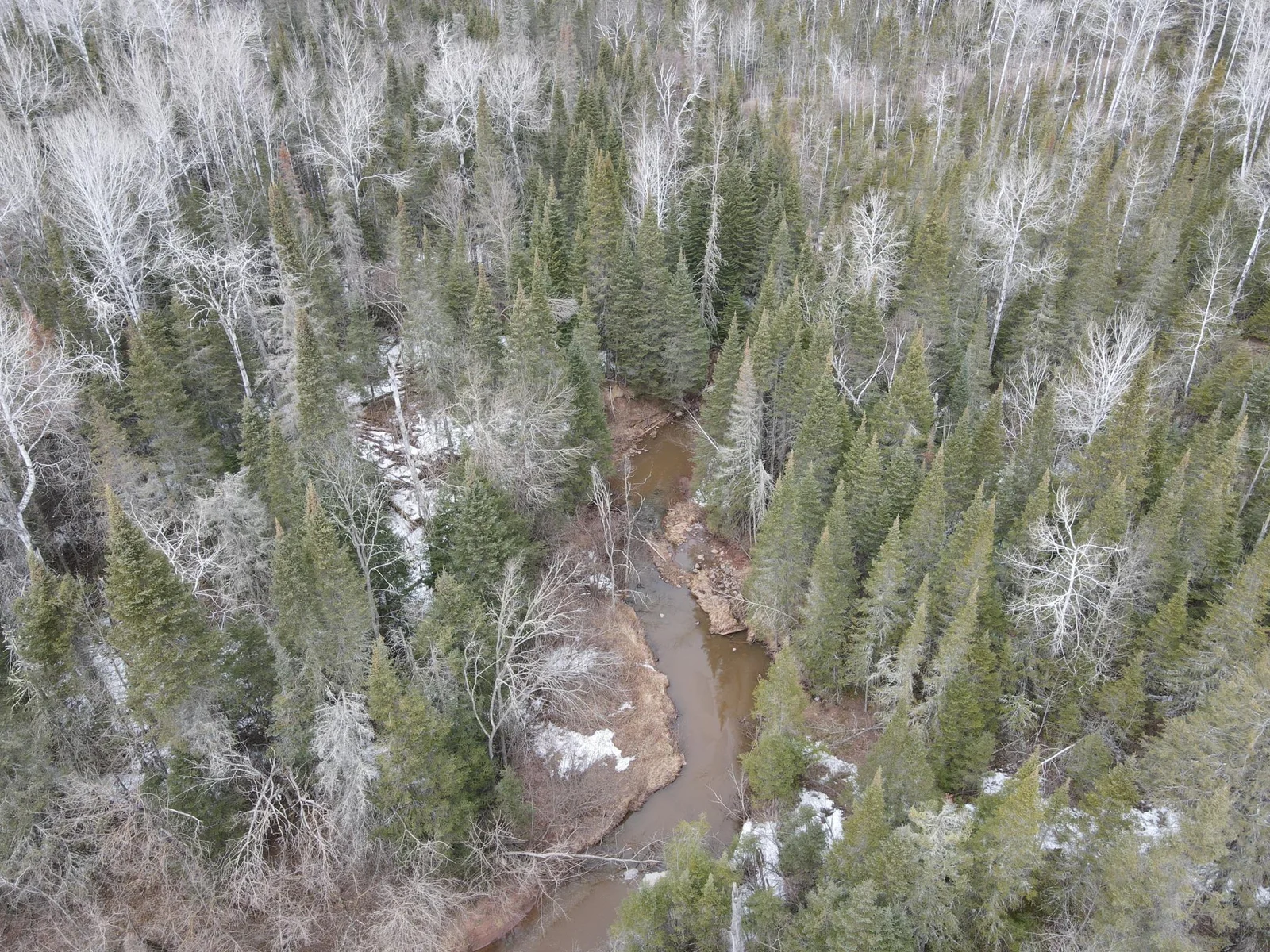 Bardon Creek