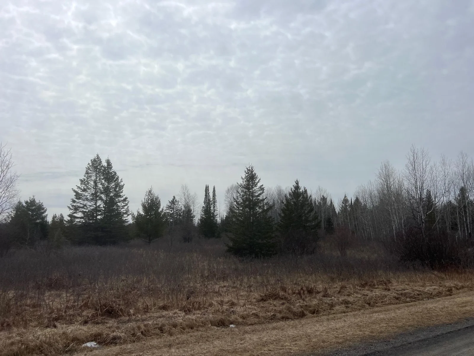 View from the road