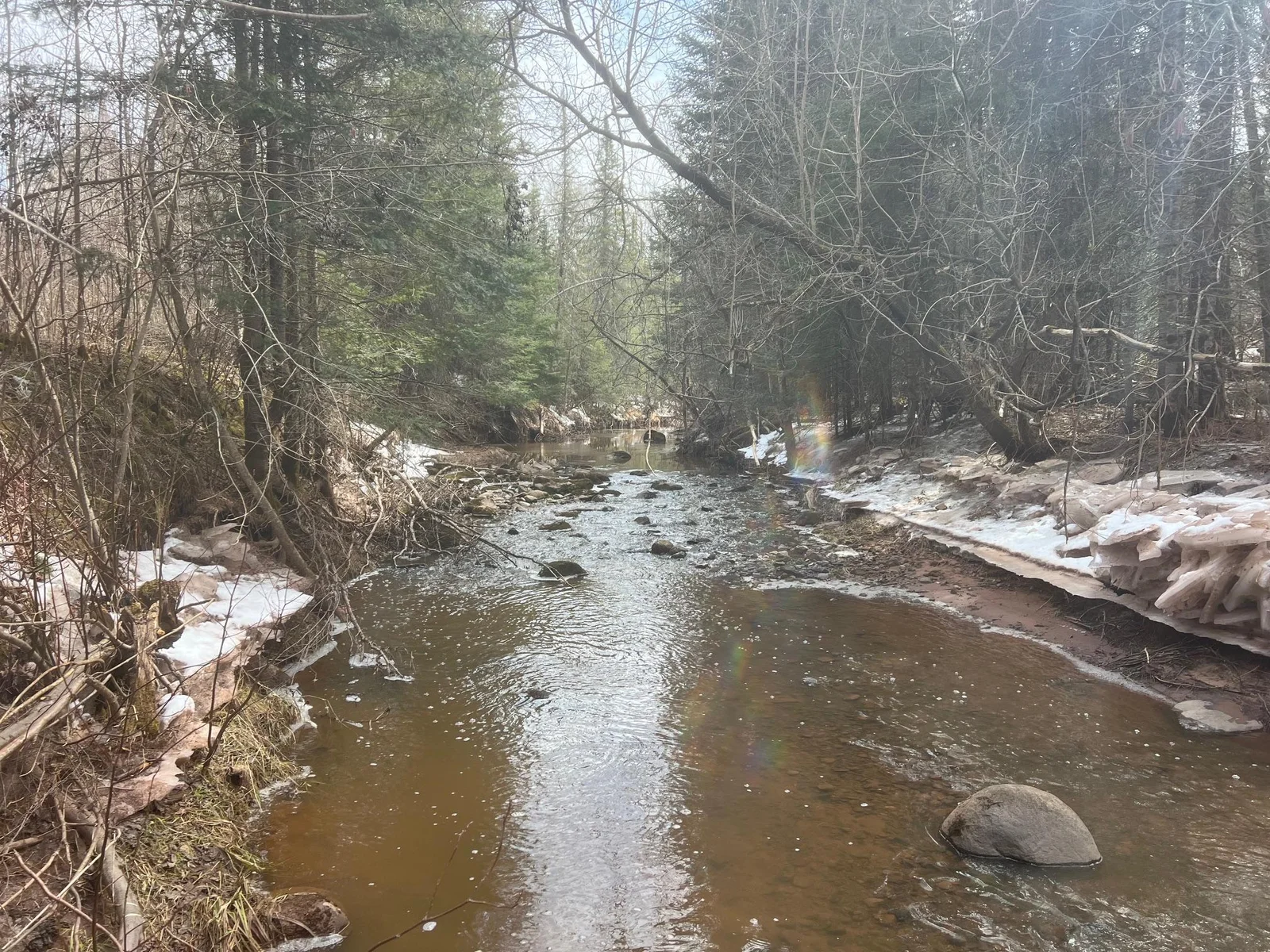 Bardon Creek