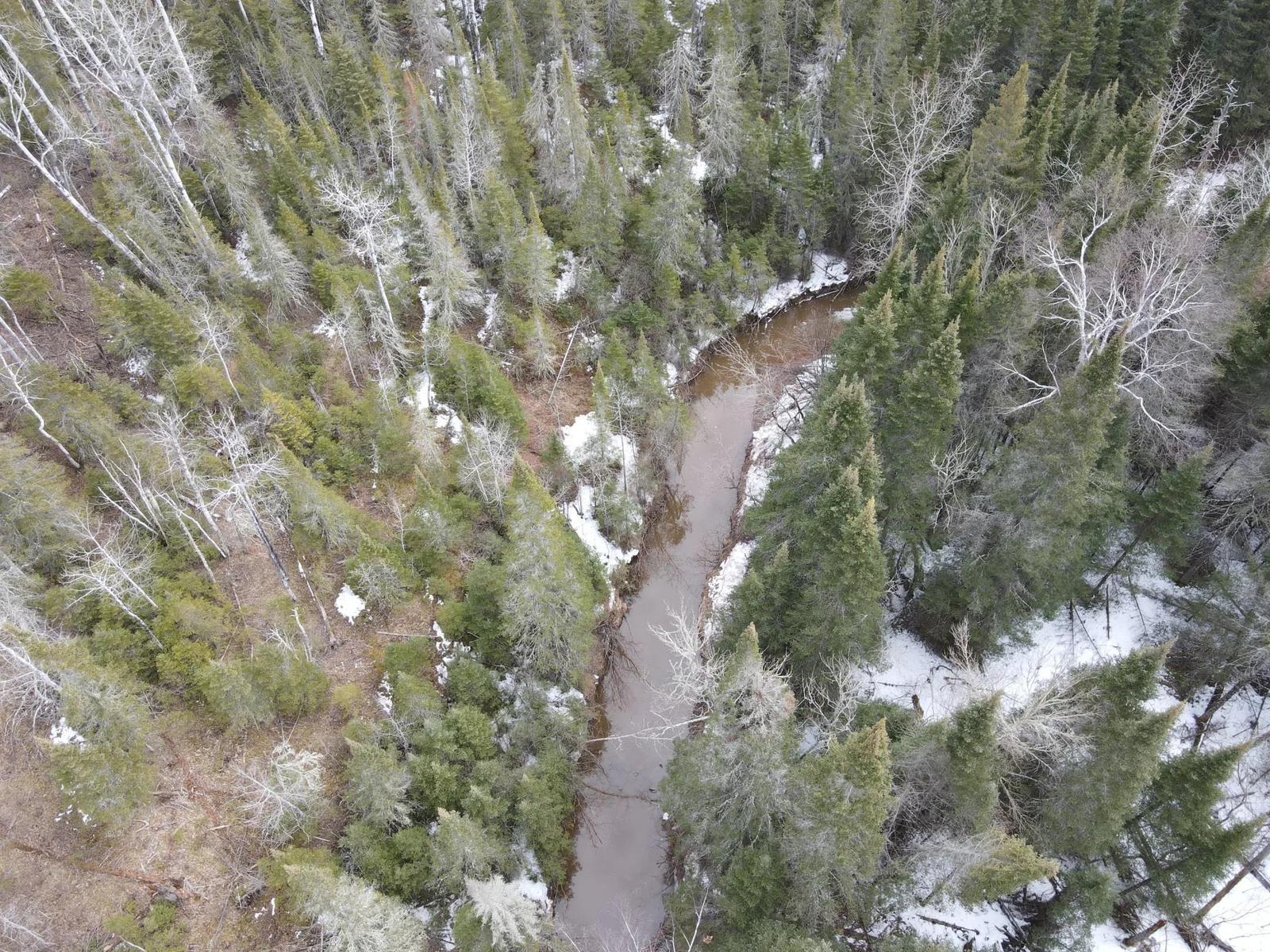Bardon Creek