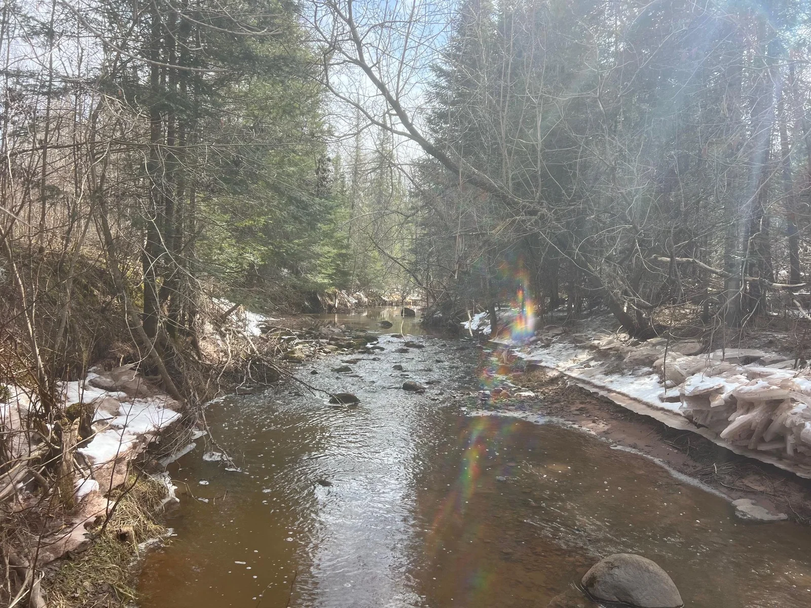 Bardon Creek