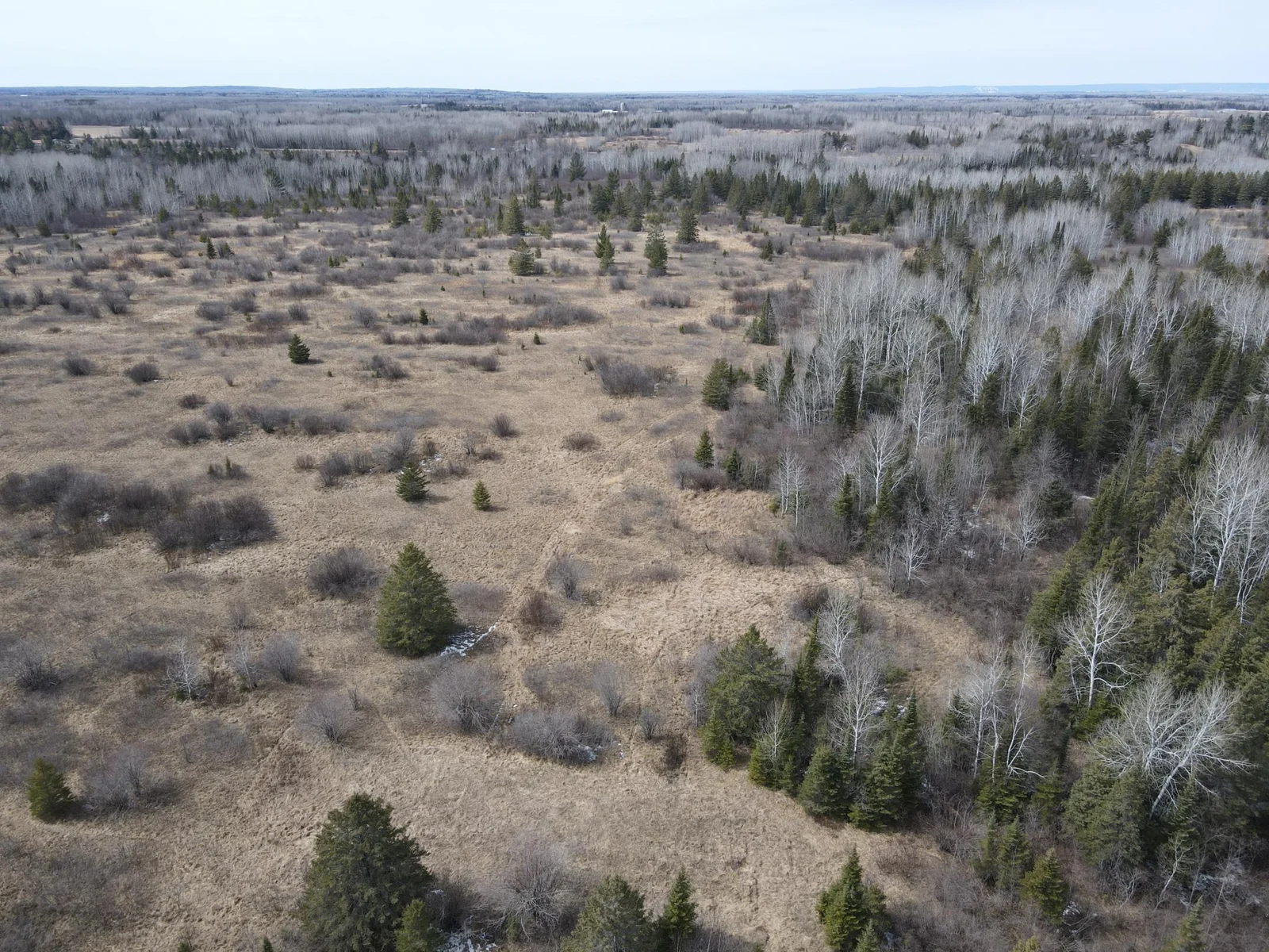 Nice mix of field and forest