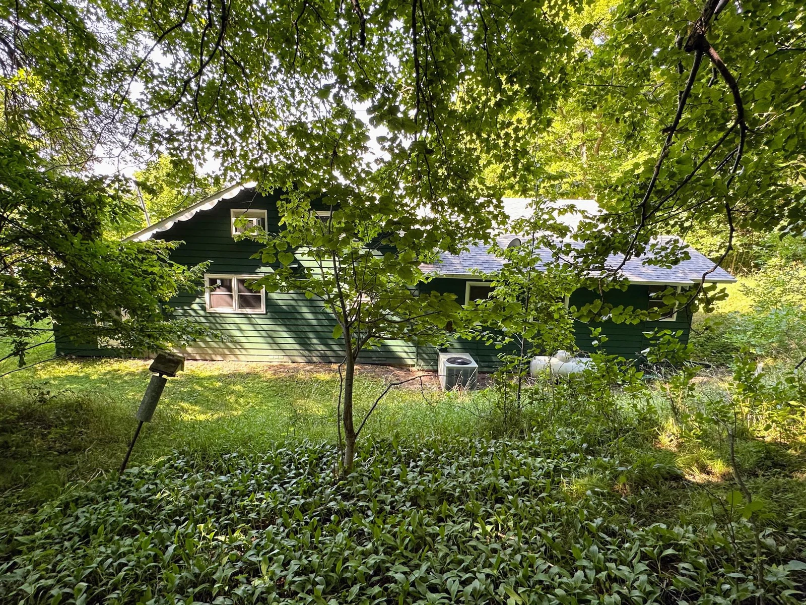 Back of home