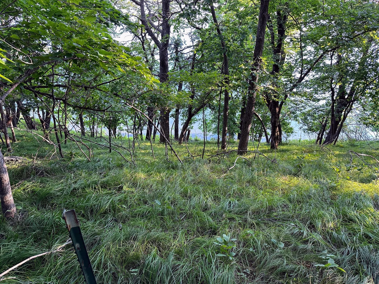 Acreage