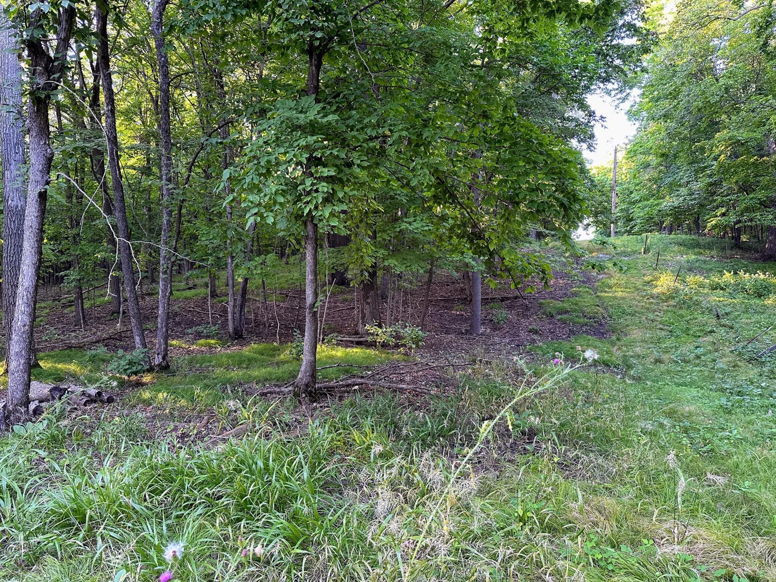 Acreage