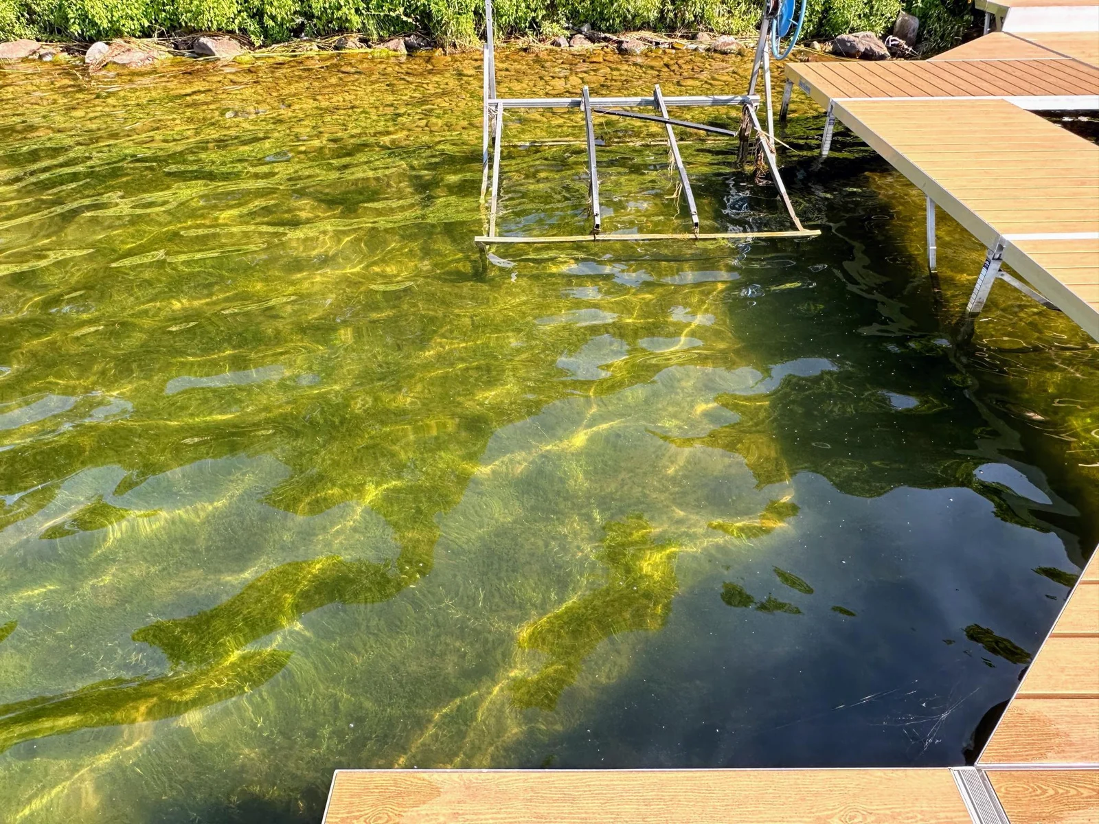 Lake bottom