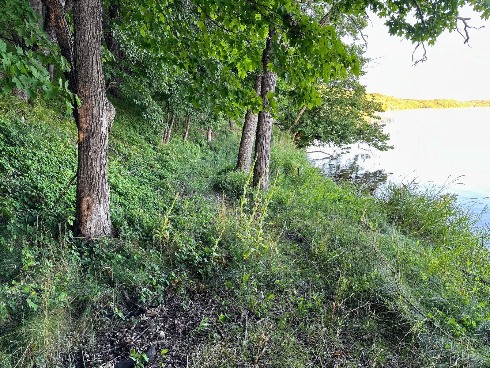 Acreage