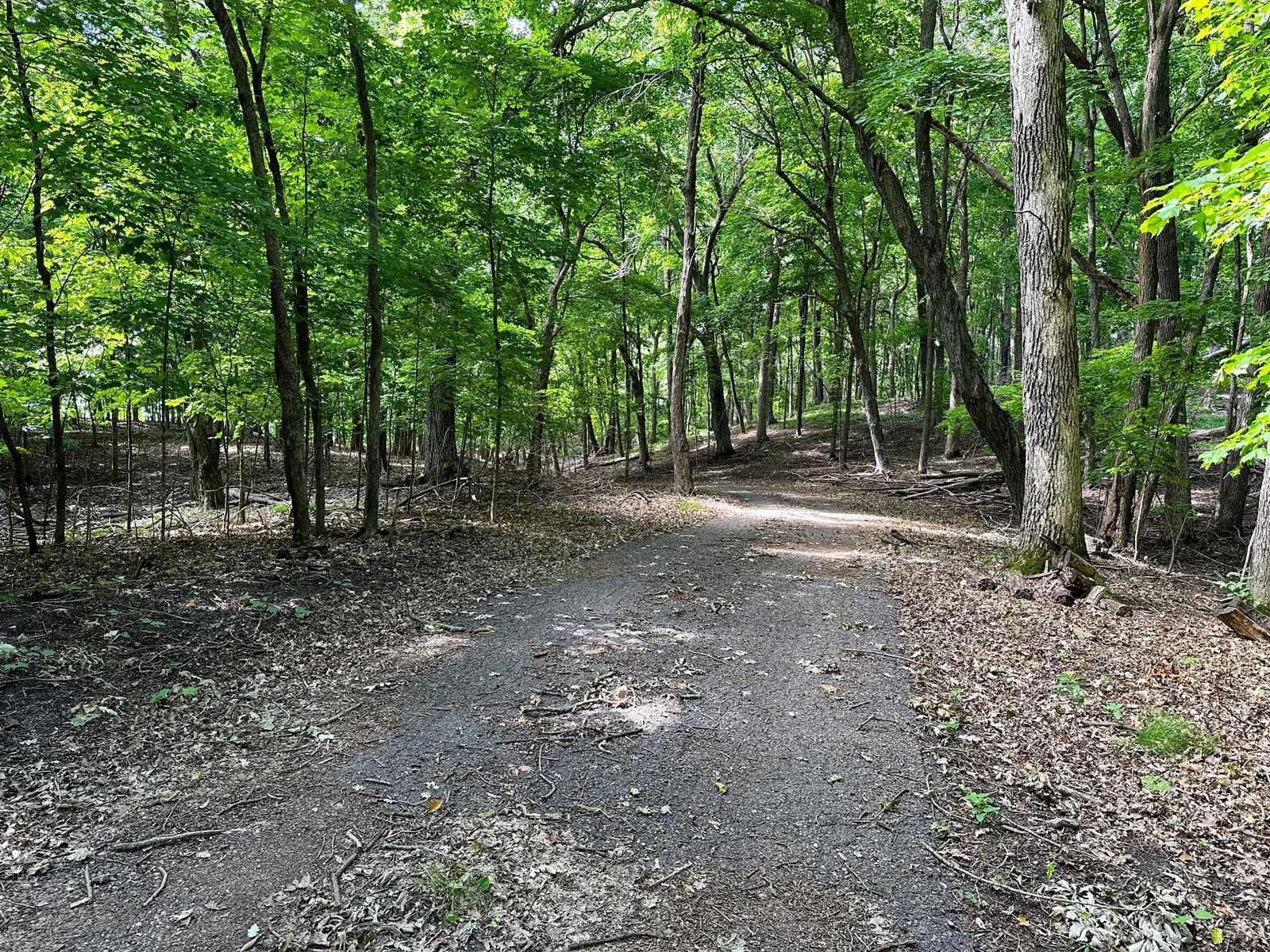 Driveway going out