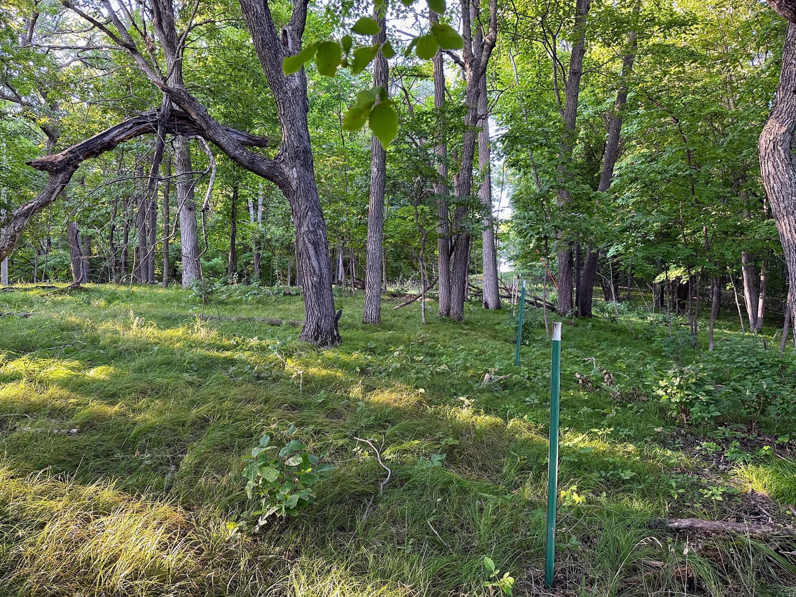 Acreage