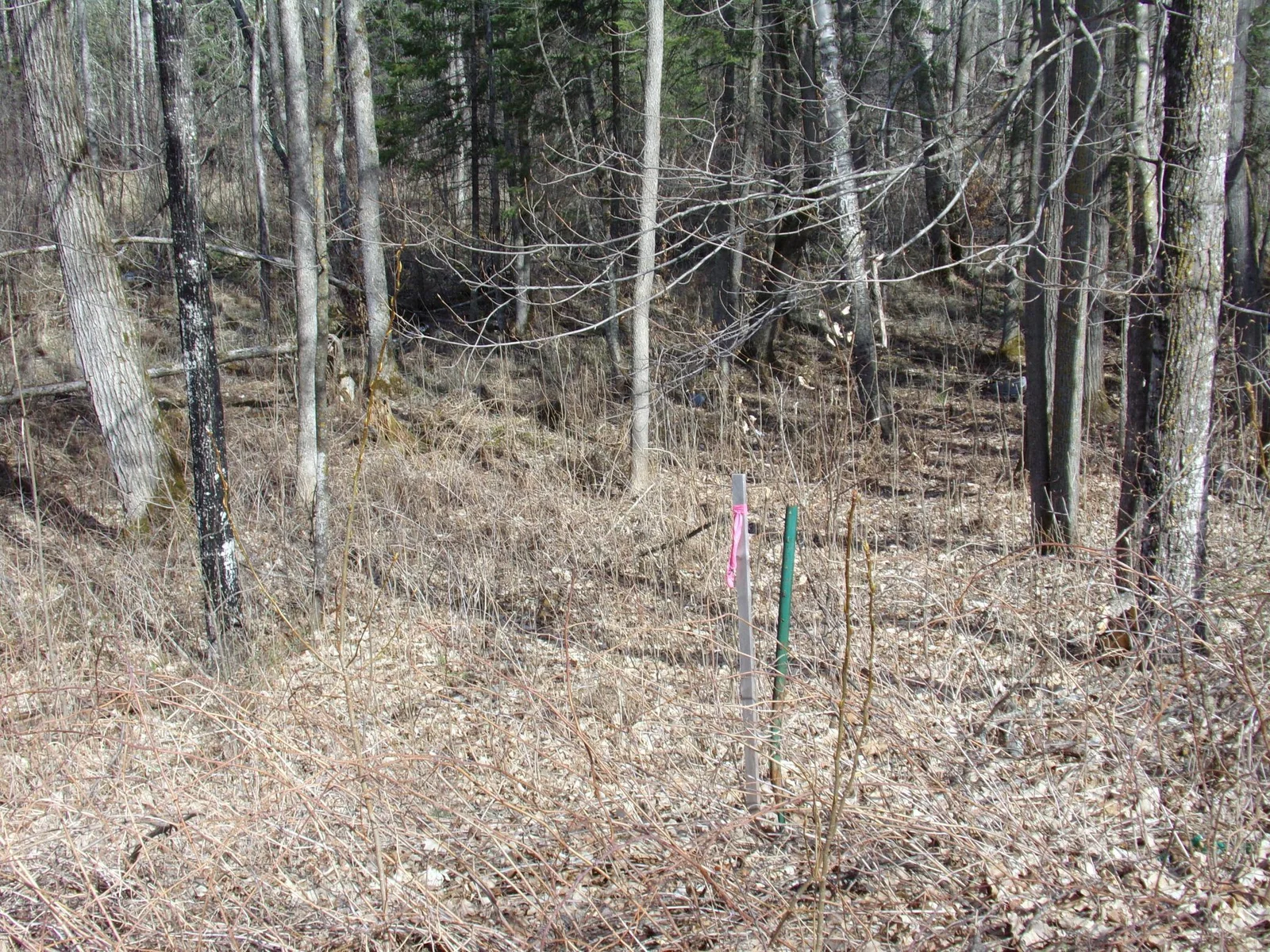 Survey stake in woods on East side of property. Can be seen from Savanna Ridge Rd