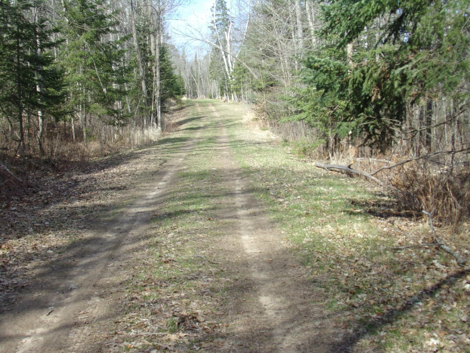 Photo 1 of Goshawk