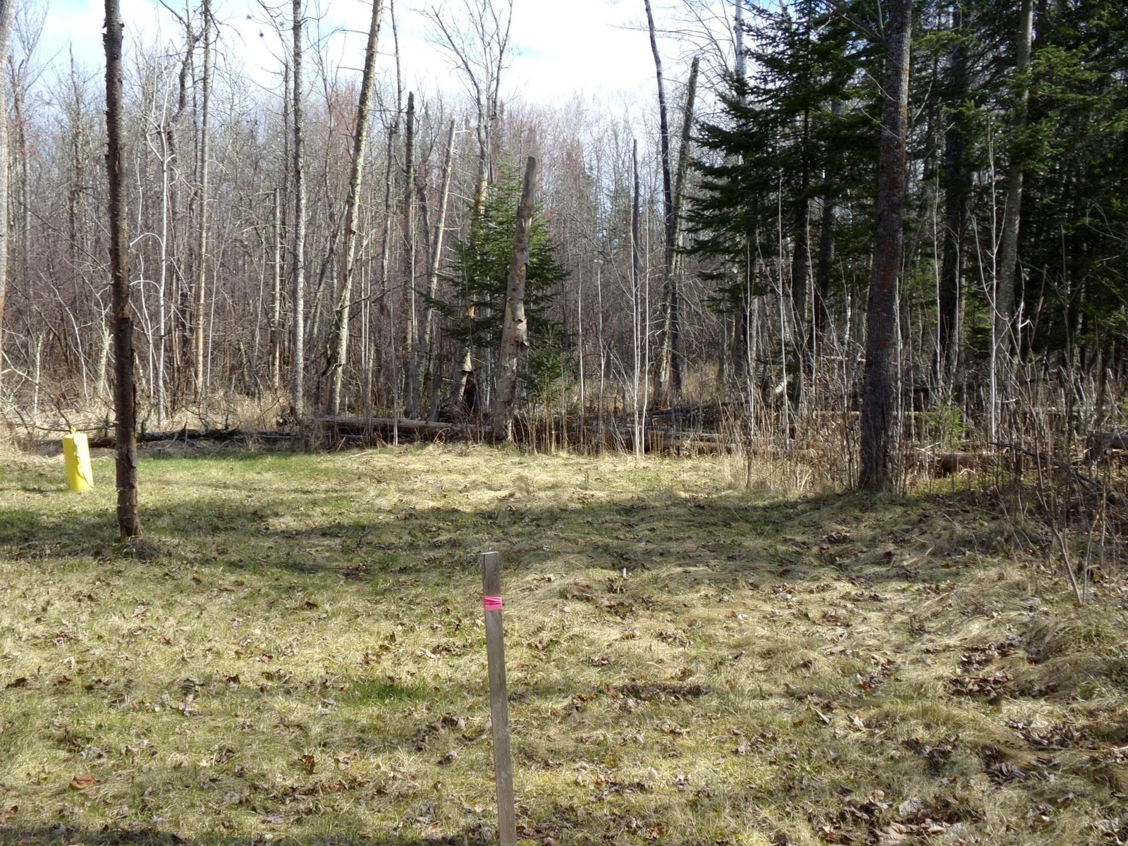 Survay stake on SW side of property