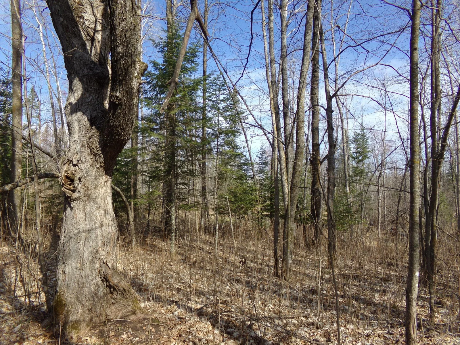 Thumbnail photo 5